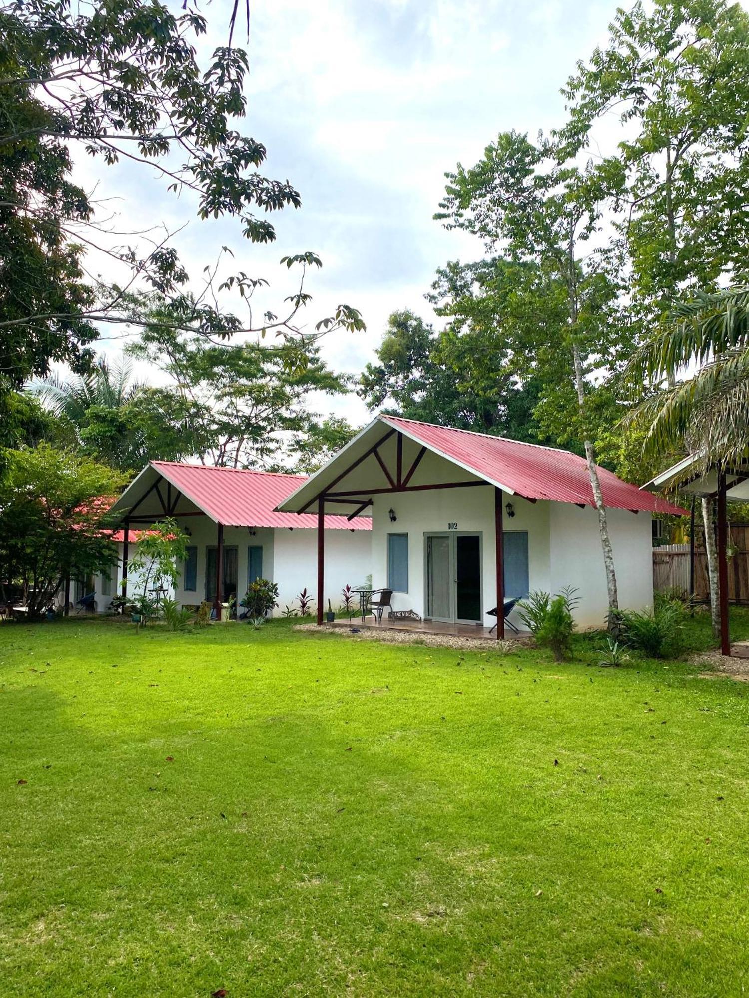 Chaikoni Lodge 푸카이파 외부 사진